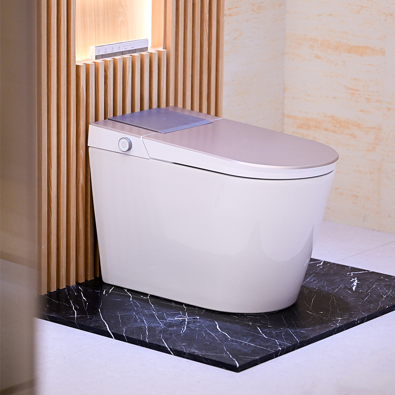 Smart Digital Display Toilet Z7