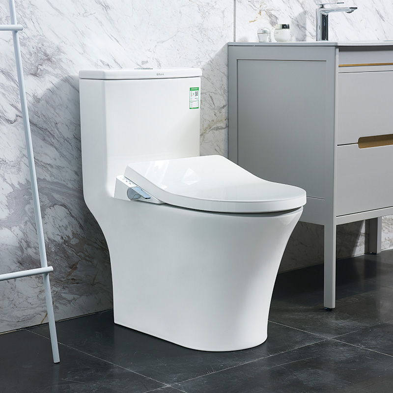 Οικονομικό κάλυμμα Smart Bidet