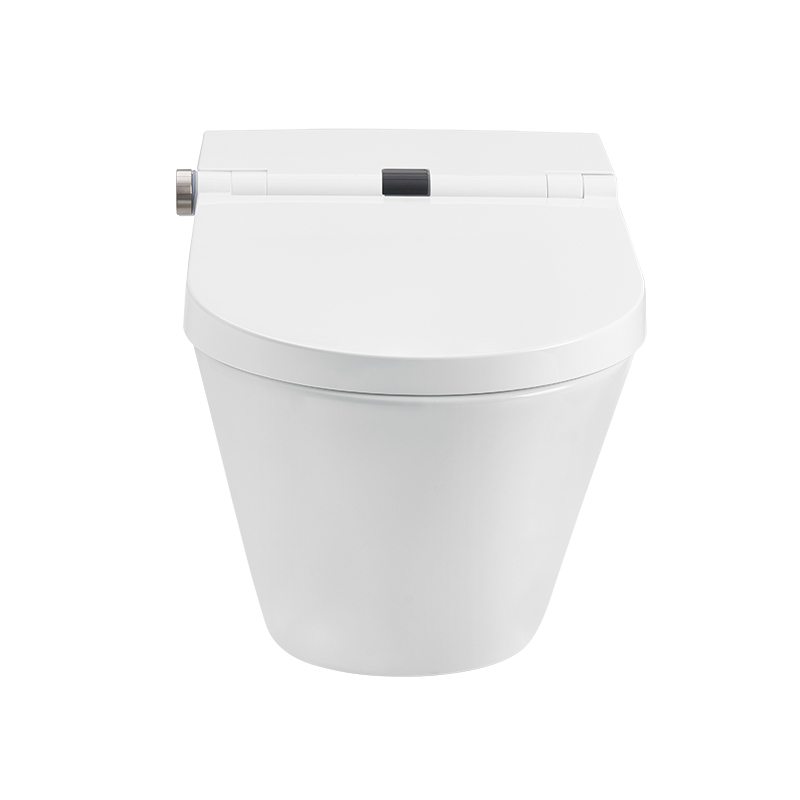 Αφήστε το Flushing Smart Toilet with Water Tank